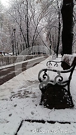 Bench cold christmas december snow tree frost winter nature white park Stock Photo