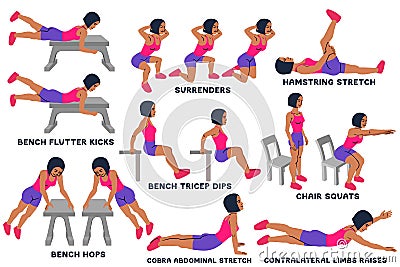 Bench flutter kicks. Surrenders. Hamstring stretch. Bench biceps dips. Chair squats. Bench hops. Cobra abdominal stretch. Cartoon Illustration