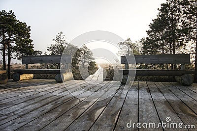 Bench and foggy dawn Stock Photo