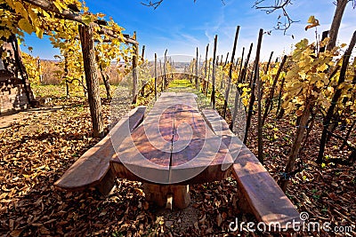 Bench in idyllic autumn vineyards trellis Stock Photo