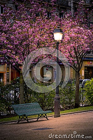 A bench and a lamppost with the beautiful colors of spring in Paris Editorial Stock Photo