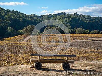 Bench overlooking wine vineyard on sunny day Stock Photo