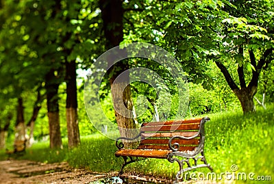 Bench in a park Stock Photo