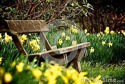 Bench in park Stock Photo