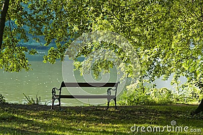 Bench in park Stock Photo