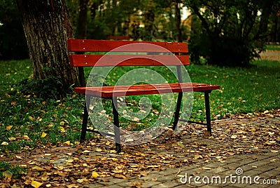 Bench in the park Stock Photo