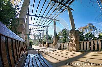 Bench in the Park on a beautiful alley on a bright Sunny day. Stock Photo