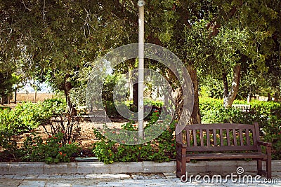 Bench in the park, lovley place for couples Stock Photo