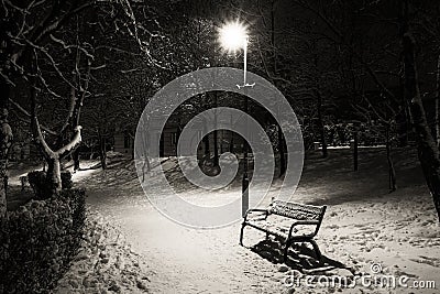 Bench in the park Stock Photo