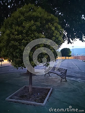 Bench and park in Spain Stock Photo