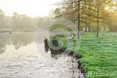 Bench and pond, spring garden Stromovka in Prague, Czech republic Stock Photo