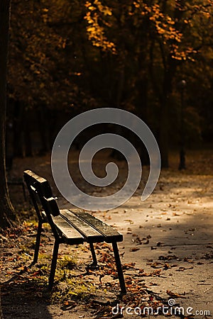 A bench in the sunshine in the park. Stock Photo
