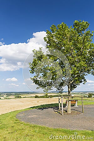 Bench And Tree, Germany Stock Photo