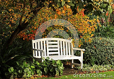 Bench under autumn tree Stock Photo