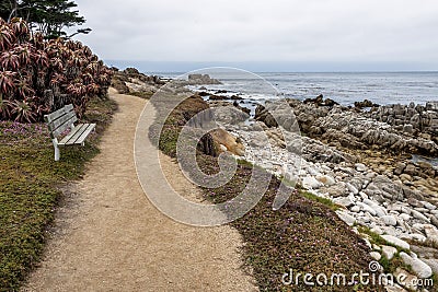 Bench, Waves crushing on a rocky beach making sea foam on Moonstone Beach Stock Photo