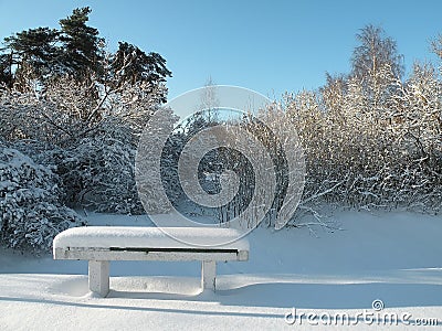 Bench in Winter time Stock Photo