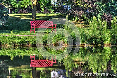 Bench in the woods in hdr Stock Photo