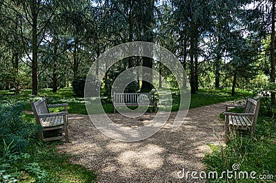 Benchs in blue forest of Albert Kahn Park - Boulogne-Billancourt - France Editorial Stock Photo