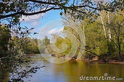 A bend in the Neuse River off of the greenway surrounded by green trees under a blue sky in autumn Stock Photo