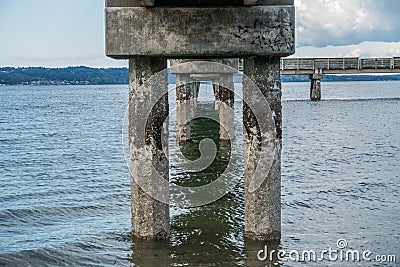 Beneath Dash Point Pier 1 Stock Photo