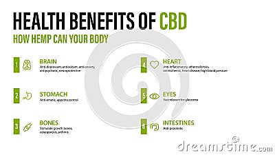 Benefits of CBD for your body, white poster with infographic. Health benefits of Cannabidiol CBD from cannabis, hemp, marijuana, Vector Illustration