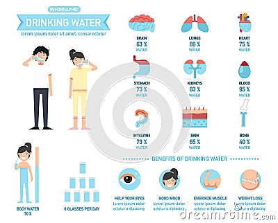 Benefits of drinking water infographics-body water, vector Vector Illustration