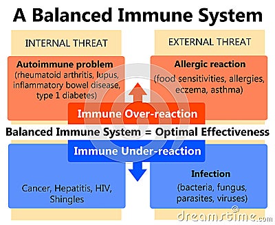 Immune system Stock Photo