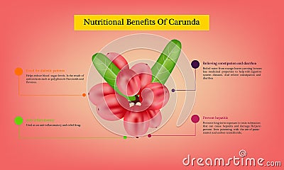 Benefits of ripe Carissa carandas fruit Infographic about nutrients in Carissa carandas Fruit and agriculture vector illustration Vector Illustration