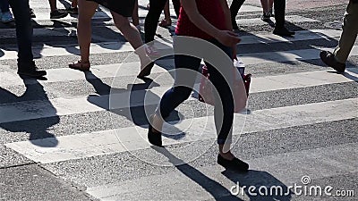 Benen van Menigtemensen die op de Voetgangersoversteekplaats lopen Close-up van Menigtevoeten Stadsmenigte stock video Benen van Menigtemensen die op de Voetgangersoversteekplaats lopen Close-up van Menigtevoeten Stadsmenigte stock video