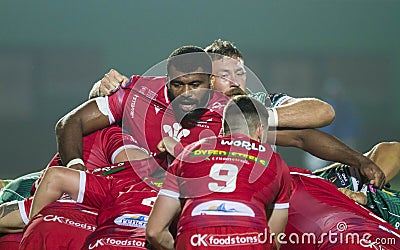 Benetton Treviso vs Scarlets Rugby Editorial Stock Photo