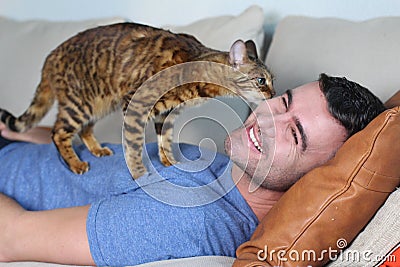 Bengal cat requesting some attention Stock Photo