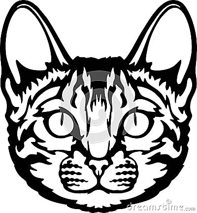 Bengal cat Vector, Peeking Cats, Cats Breed, Pet Vector portrait, Cats Head Stock Photo