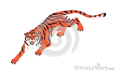 Bengal tiger prowling and roaring. Wild feline animal, cat with teeth walking, crawling. Striped carnivore, beast Vector Illustration