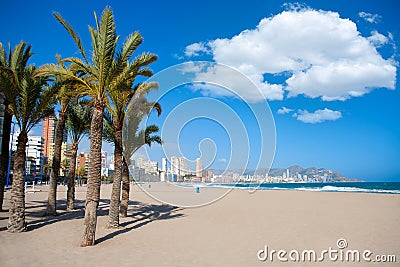 Benidorm Alicante beach palm trees and Mediterranean Stock Photo