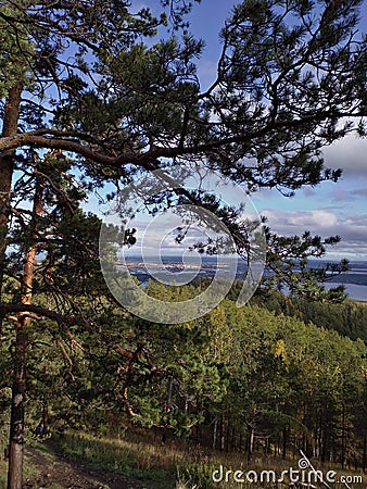 Bent trees and sky in the clouds in the Urals mountains Stock Photo