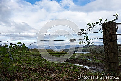 an old farmland fence rural Scotland Stock Photo