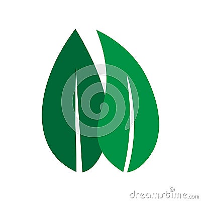 Green Leaf vector logo design and icon. Stock Photo