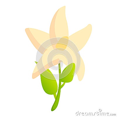 Bergamot flower icon, cartoon style Vector Illustration