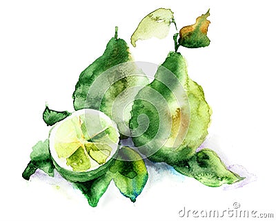 Bergamot fruits Cartoon Illustration