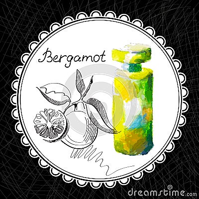 Bergamot Vector Illustration