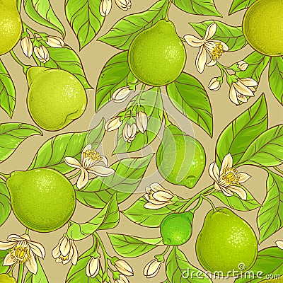 Bergamot vector pattern Vector Illustration