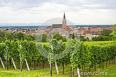 Bergheim (Alsace) - Panorama with vineyard Stock Photo
