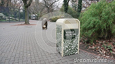 BERLIJN, DUITSLAND - 23 NOV., 2018: Huisvuilbak of Plastic Container, dichtbij gangmanier in de zoölogische tuin van Berlijn stock videobeelden BERLIJN, DUITSLAND - 23 NOV., 2018: Huisvuilbak of Plastic Container, dichtbij gangmanier in de zoölogische tuin van Berlijn stock videobeelden