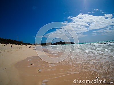 Bermuda pink sand beach, fisheye Stock Photo