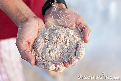 Bermuda Pink Sands Close Up Stock Photo