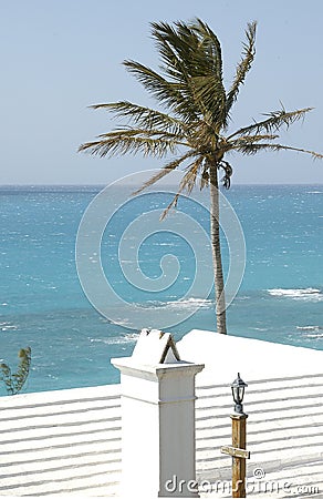 Bermuda Roof 3 Stock Photo