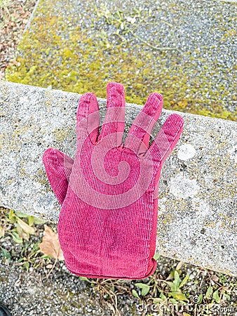 Pink children glove Stock Photo