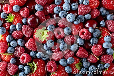 Berries closeup colorful assorted mix Stock Photo