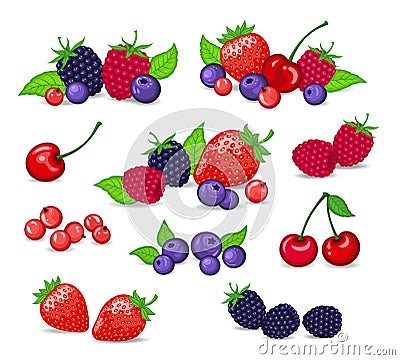 Berries Collection Vector Illustration