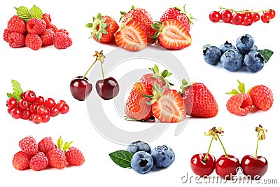 Berries Stock Photo